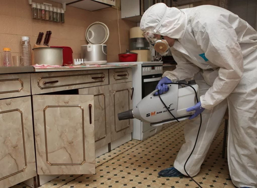 Уничтожение насекомых в Москве в квартире доме